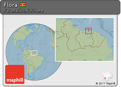 Savanna Style Location Map of Flora, highlighted parent region, within the entire country, hill shading