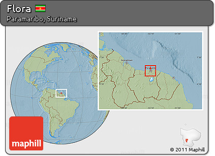 Savanna Style Location Map of Flora, hill shading