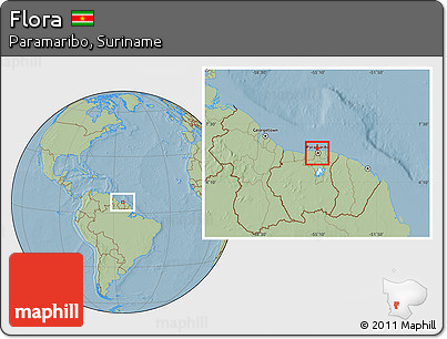 Savanna Style Location Map of Flora, hill shading