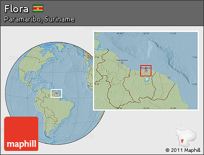 Savanna Style Location Map of Flora, hill shading