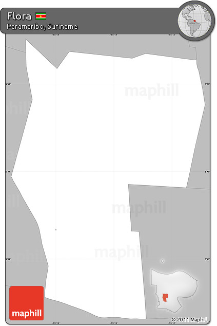 Gray Simple Map of Flora