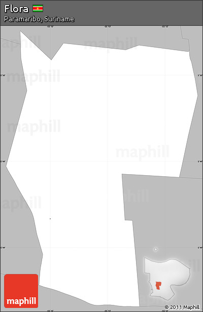 Gray Simple Map of Flora