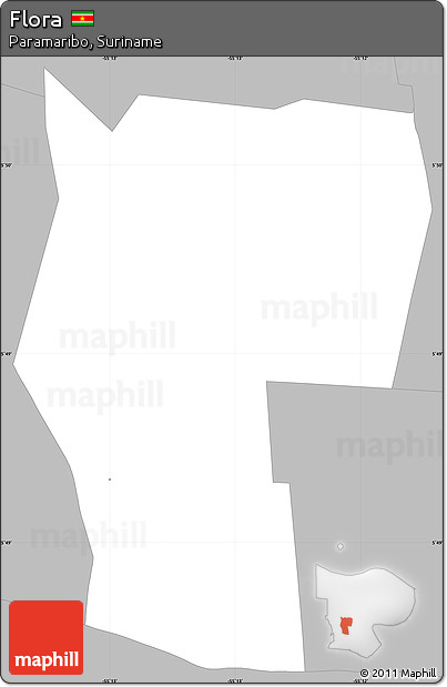 Gray Simple Map of Flora