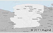 Gray 3D Map of Saramacca