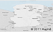 Silver Style 3D Map of Saramacca