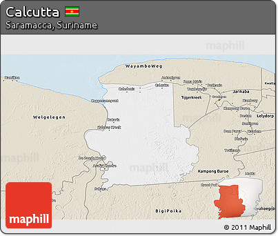 Classic Style 3D Map of Calcutta
