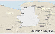Classic Style 3D Map of Calcutta