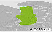 Physical 3D Map of Calcutta, lighten, desaturated