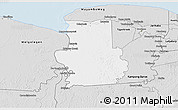 Silver Style 3D Map of Calcutta