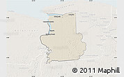 Shaded Relief Map of Calcutta, lighten