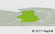 Physical Panoramic Map of Calcutta, lighten, semi-desaturated