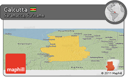 Savanna Style Panoramic Map of Calcutta