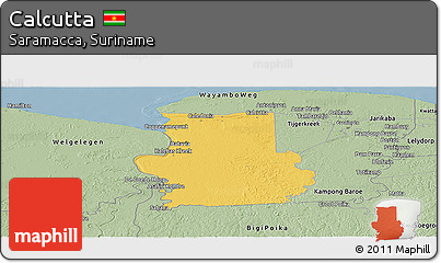 Savanna Style Panoramic Map of Calcutta