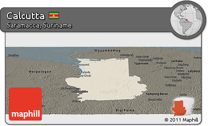 Shaded Relief Panoramic Map of Calcutta, darken