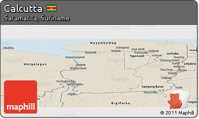 Shaded Relief Panoramic Map of Calcutta