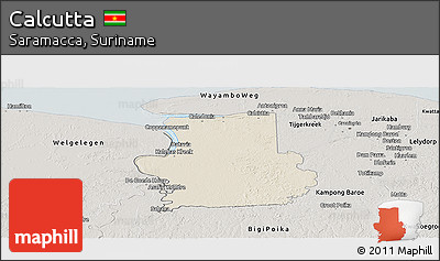 Shaded Relief Panoramic Map of Calcutta, semi-desaturated