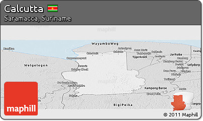 Silver Style Panoramic Map of Calcutta
