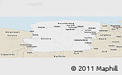 Classic Style Panoramic Map of Saramacca