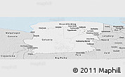Silver Style Panoramic Map of Saramacca