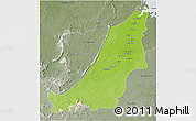 Physical 3D Map of Boven Suriname, semi-desaturated
