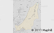 Shaded Relief Map of Boven Suriname, desaturated