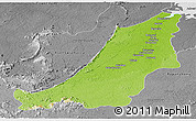 Physical Panoramic Map of Boven Suriname, desaturated