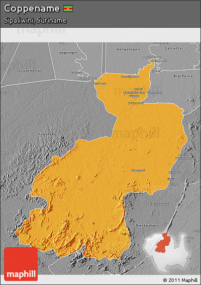 Political 3D Map of Coppename, desaturated