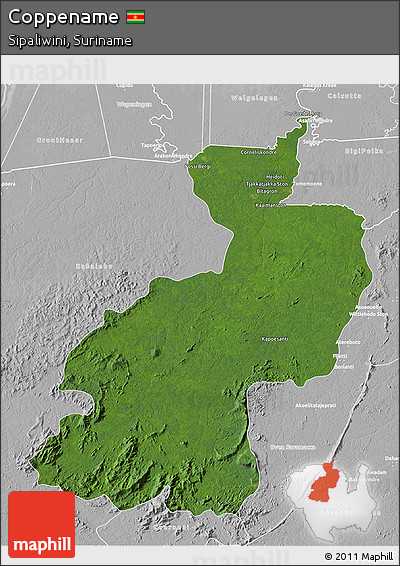 Satellite 3D Map of Coppename, lighten, desaturated