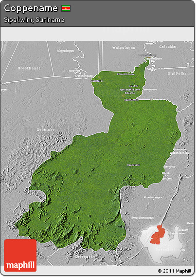Satellite 3D Map of Coppename, lighten, desaturated