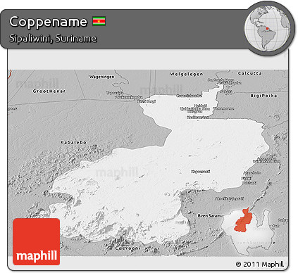 Gray Panoramic Map of Coppename