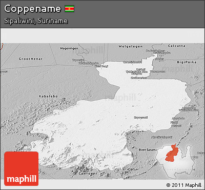 Gray Panoramic Map of Coppename