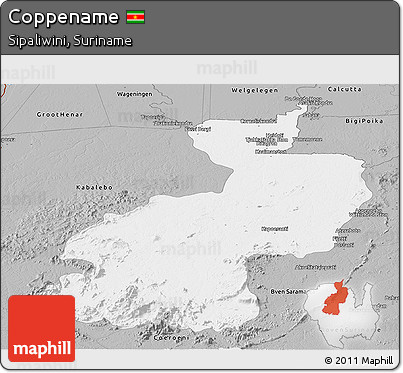 Gray Panoramic Map of Coppename