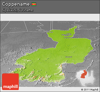 Physical Panoramic Map of Coppename, desaturated