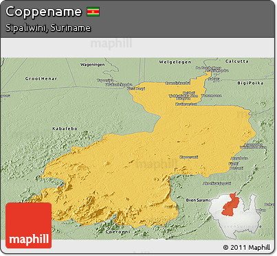 Savanna Style Panoramic Map of Coppename
