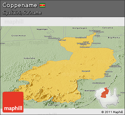 Savanna Style Panoramic Map of Coppename