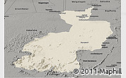 Shaded Relief Panoramic Map of Coppename, darken, semi-desaturated