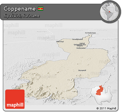 Shaded Relief Panoramic Map of Coppename, lighten, desaturated