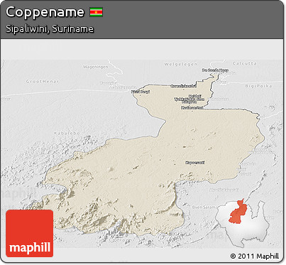 Shaded Relief Panoramic Map of Coppename, lighten, desaturated