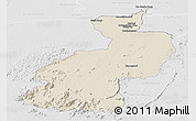 Shaded Relief Panoramic Map of Coppename, lighten, desaturated