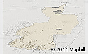 Shaded Relief Panoramic Map of Coppename, lighten, semi-desaturated