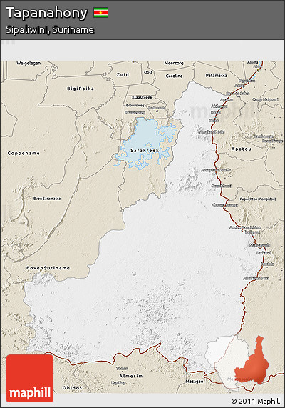 Classic Style 3D Map of Tapanahony
