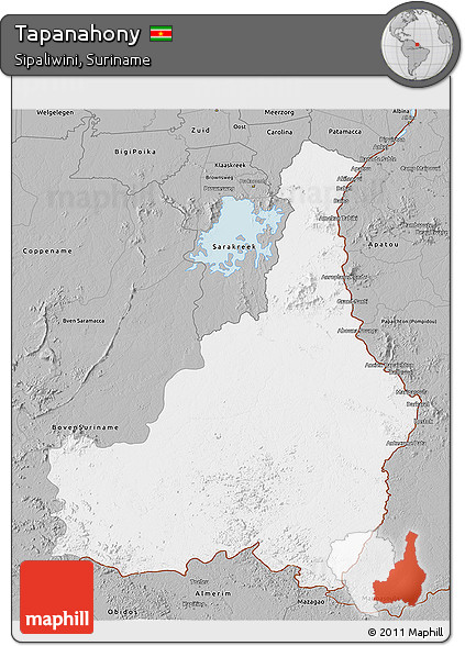 Gray 3D Map of Tapanahony