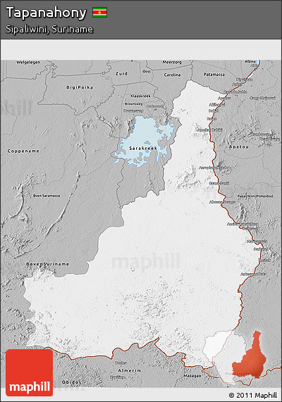 Gray 3D Map of Tapanahony