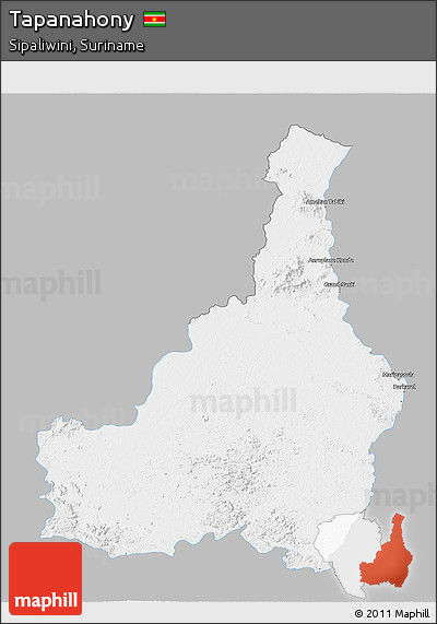 Gray 3D Map of Tapanahony, single color outside