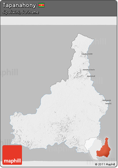 Gray 3D Map of Tapanahony, single color outside
