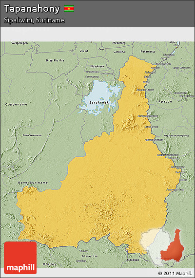Savanna Style 3D Map of Tapanahony