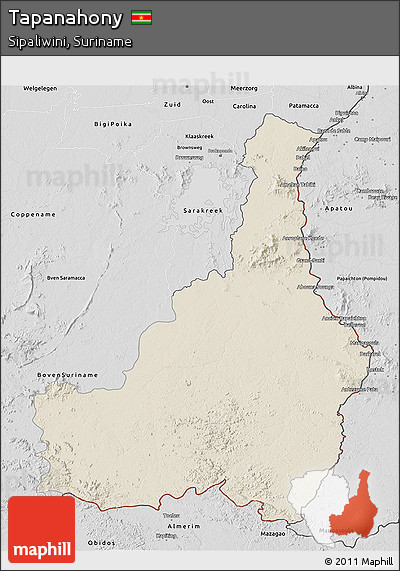 Shaded Relief 3D Map of Tapanahony, desaturated