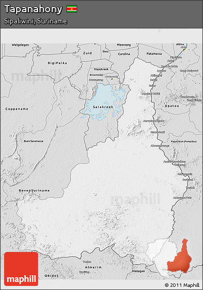 Silver Style 3D Map of Tapanahony
