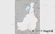 Gray Map of Tapanahony