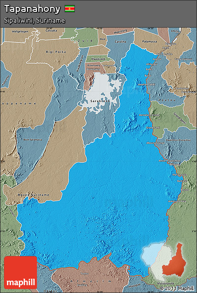 Political Map of Tapanahony, semi-desaturated